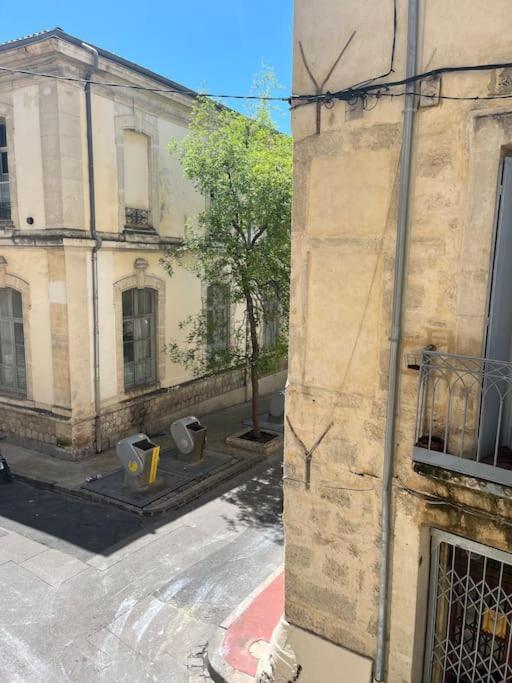 Cocon Ecusson Montpellier Apartment Bagian luar foto